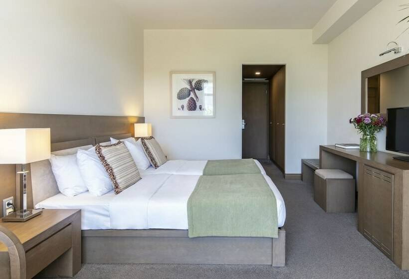 디럭스 룸, Amalia Hotel Athens