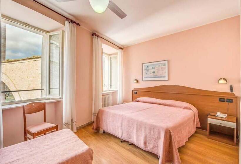 اتاق استاندارد, Roma