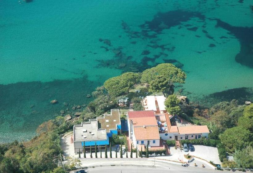 اتاق استاندارد, Viticcio