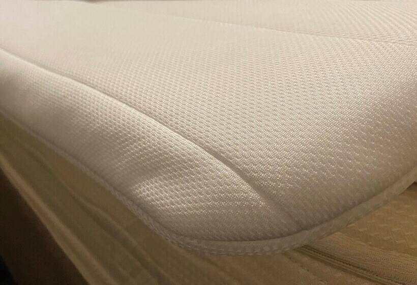 Номер Superior, Keihan Kyoto Grande