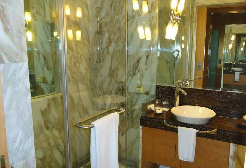 اتاق کلاس بیزنس, Radisson Blu Marina Hotel Connaught Place