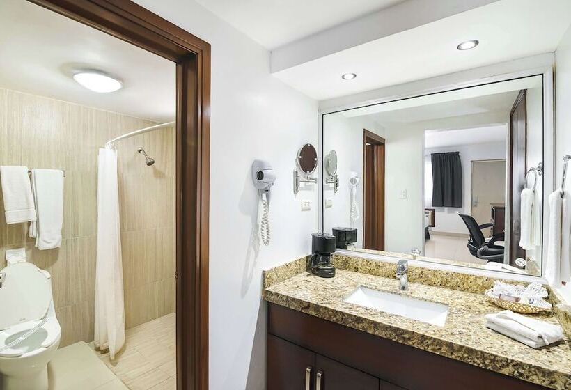 اتاق استاندارد با 2 تخت دوبل, Best Western Plus San Jorge