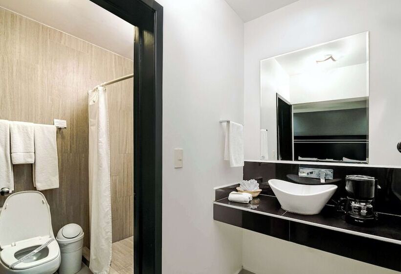 اتاق استاندارد با تخت دوبل, Best Western Plus San Jorge