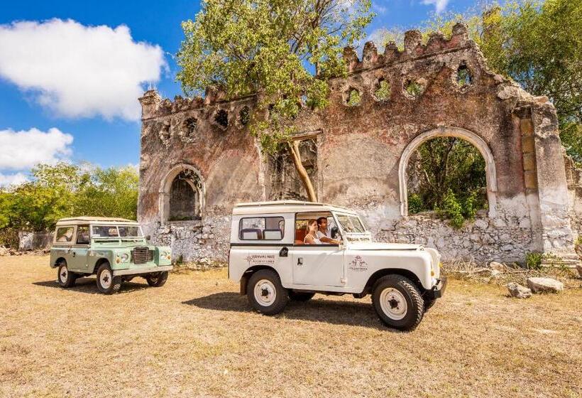 スーペリアールーム, Hacienda Uxmal Plantation & Museum
