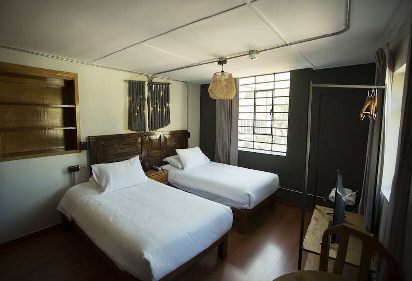 اتاق استاندارد, Socialtel Arequipa   Formerly Selina Arequipa
