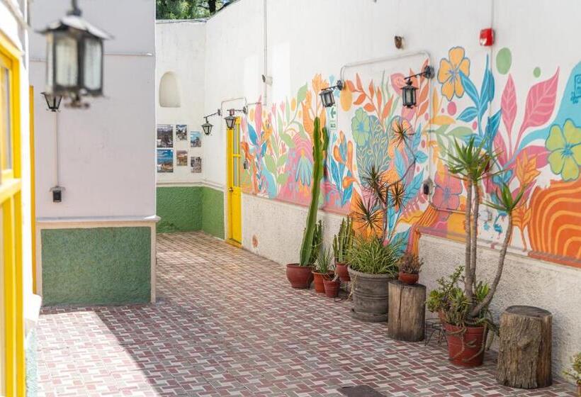 تختخواب در اتاق مشترک, Socialtel Arequipa   Formerly Selina Arequipa
