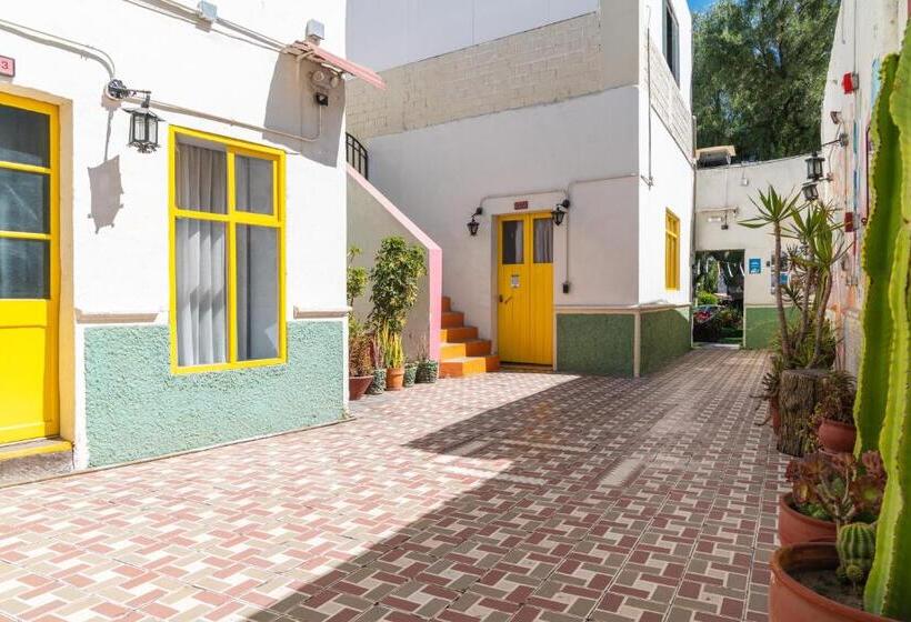 تختخواب در اتاق مشترک, Socialtel Arequipa   Formerly Selina Arequipa