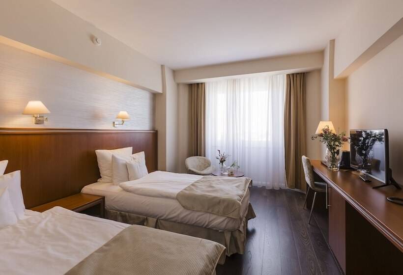 비즈니스룸, Timisoara