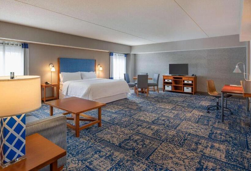 سوئیت با تخت بزرگ, Bangor Aviator Hotel Bw Premier Collection