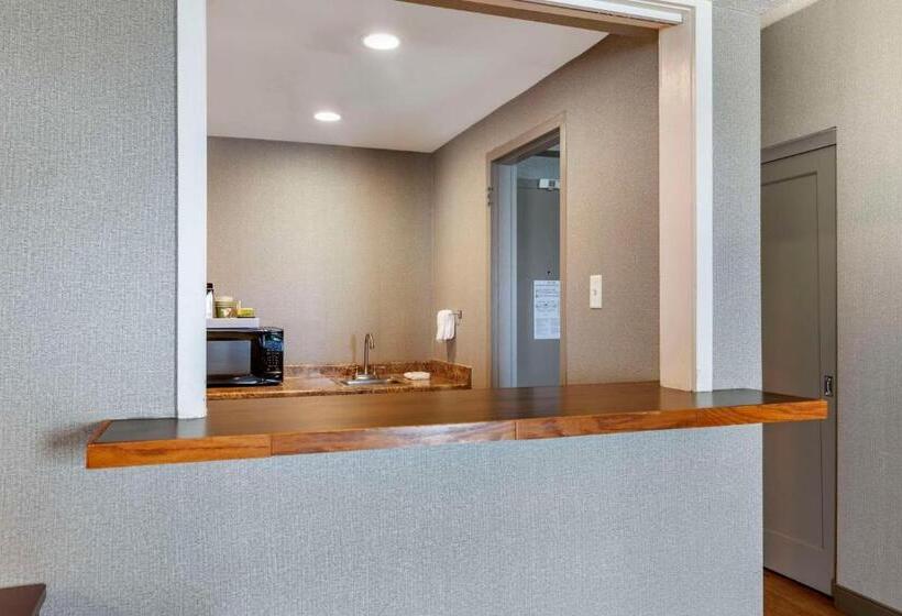 سوئیت با تخت بزرگ, Bangor Aviator Hotel Bw Premier Collection