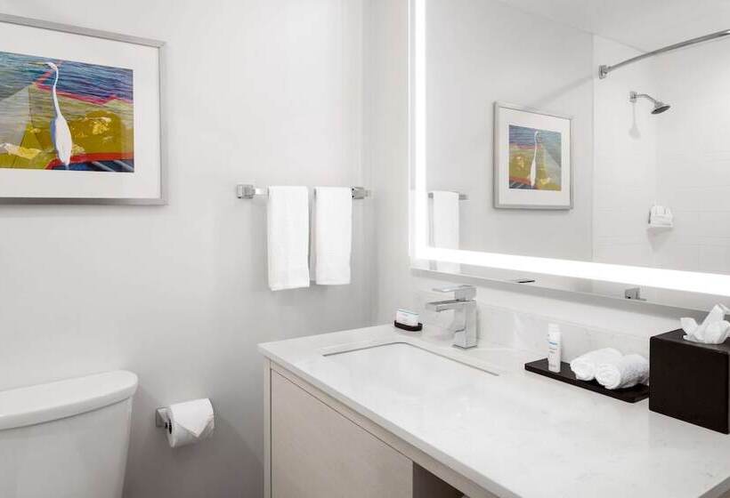 스탠다드 룸, Embassy Suites By Hilton Tampa Airport Westshore