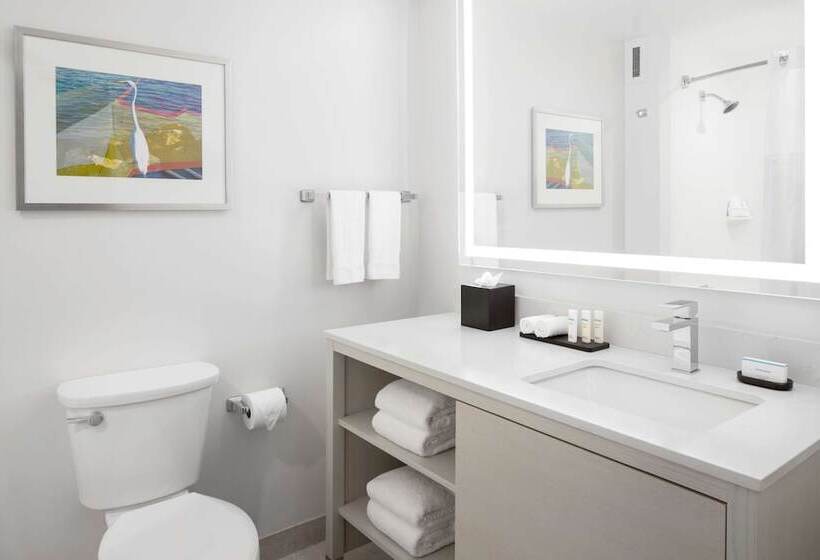 스탠다드 룸 더블 침대 2개, Embassy Suites By Hilton Tampa Airport Westshore