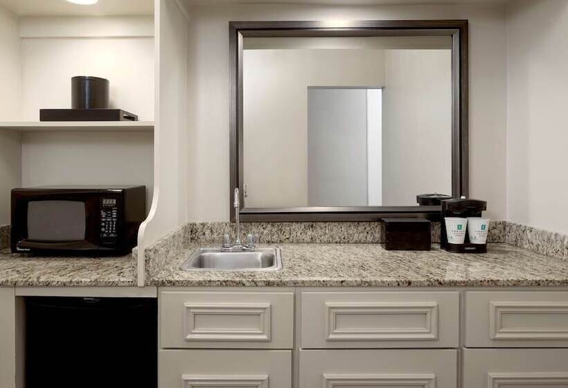 침실 2개 스위트, Embassy Suites By Hilton Tampa Airport Westshore