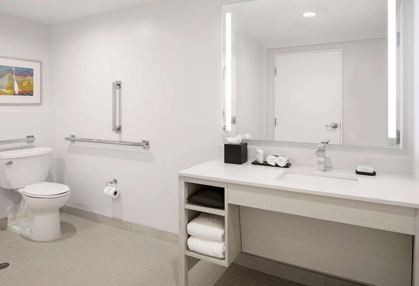 장애인을 위한 스위트, Embassy Suites By Hilton Tampa Airport Westshore