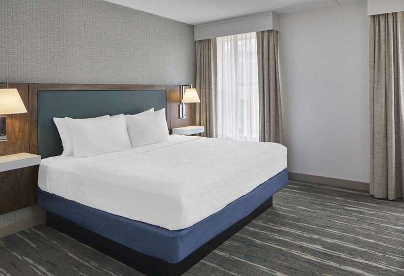 스탠다드 룸, Embassy Suites By Hilton Tampa Airport Westshore