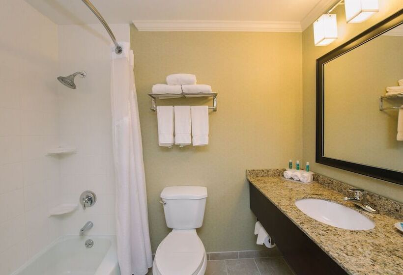 Люкс Адаптированный для Инвалидов, Holiday Inn Express And Suites Merrimack, An Ihg