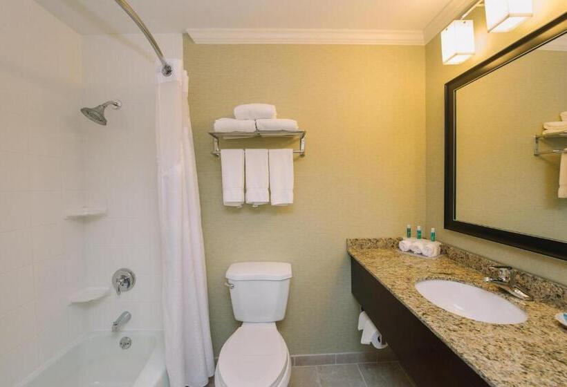 Люкс Кровать Кинг, Holiday Inn Express And Suites Merrimack, An Ihg