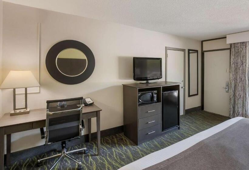 اتاق استاندارد با تخت بزرگ, Best Western Asheville Blue Ridge Parkway