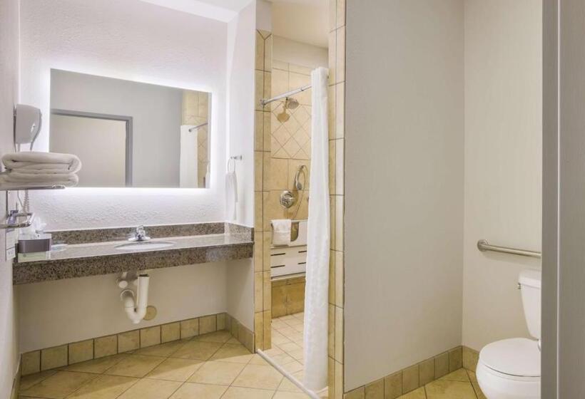 اتاق استاندارد با تخت بزرگ برای معلولان, Best Western Asheville Blue Ridge Parkway