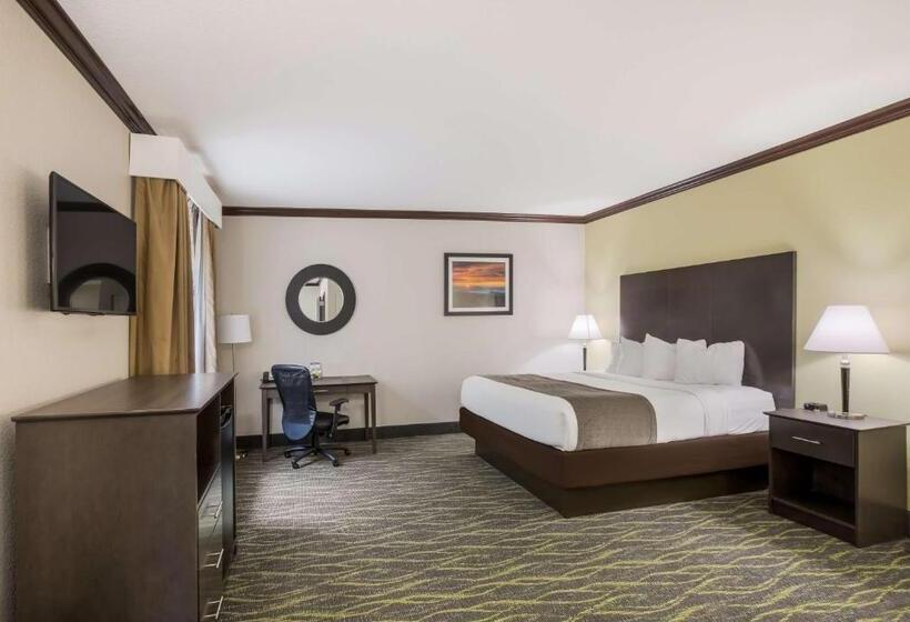 اتاق استاندارد با تخت بزرگ برای معلولان, Best Western Asheville Blue Ridge Parkway