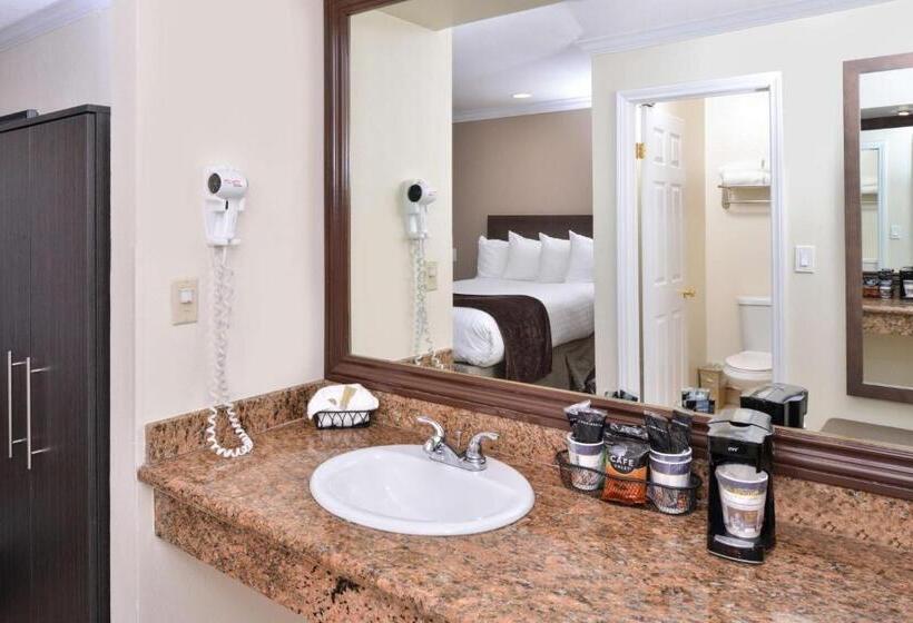 스탠다드 룸 킹사이즈 침대, Best Western Capistrano Inn