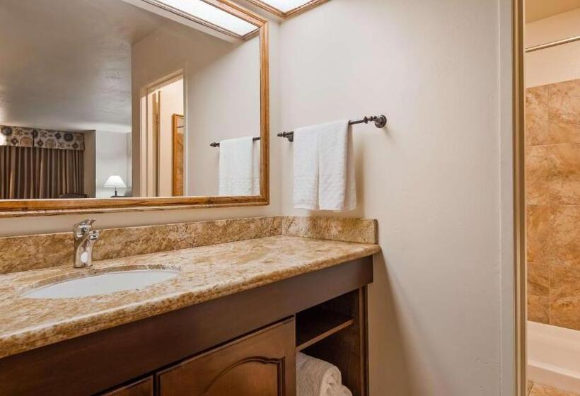 스탠다드 룸 킹사이즈 침대, Best Western Casa Grande Inn