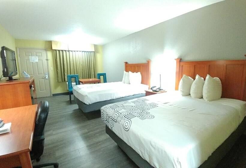 Номер Стандарт 2 Двуспальные Кровати, Best Western Jacksonville Inn