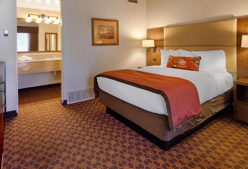 Номер Стандарт, Best Western Outlaw Inn