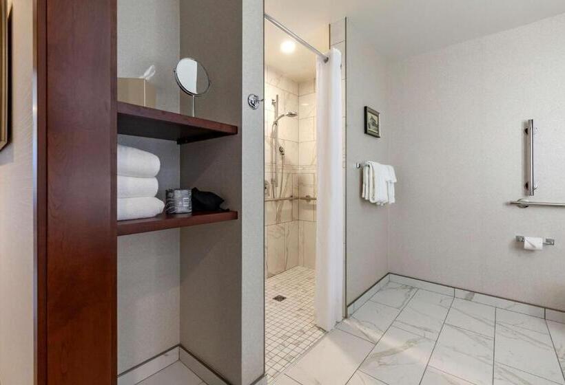 Люкс Адаптированный для Инвалидов, Best Western Premier Park