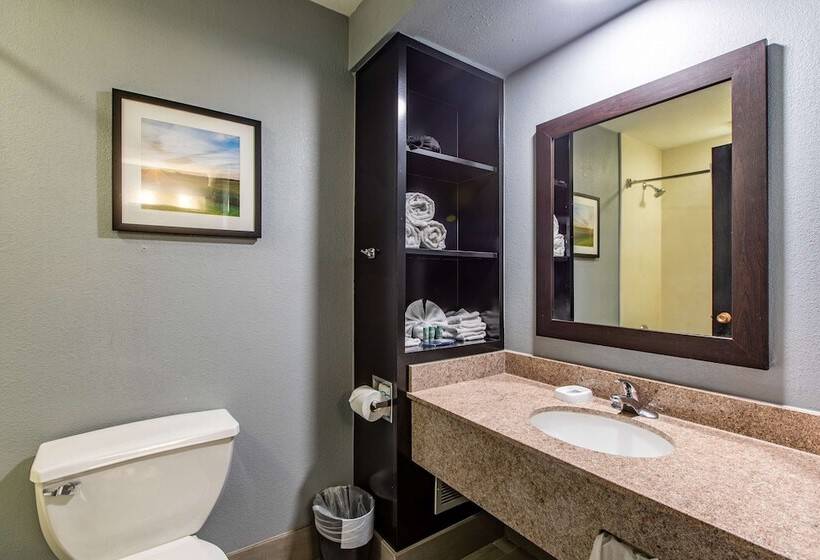 Номер Стандарт 2 Двуспальные Кровати, Best Western Rochester Hotel Mayo Clinic Area/ St. Mary S