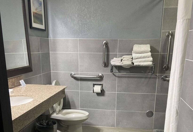 Номер Стандарт 2 Двуспальные Кровати, Best Western Rochester Hotel Mayo Clinic Area/ St. Mary S