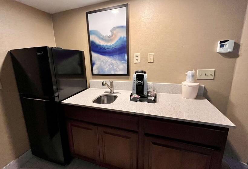 스위트, Best Western Okemos/east Lansing Hotel & Suites