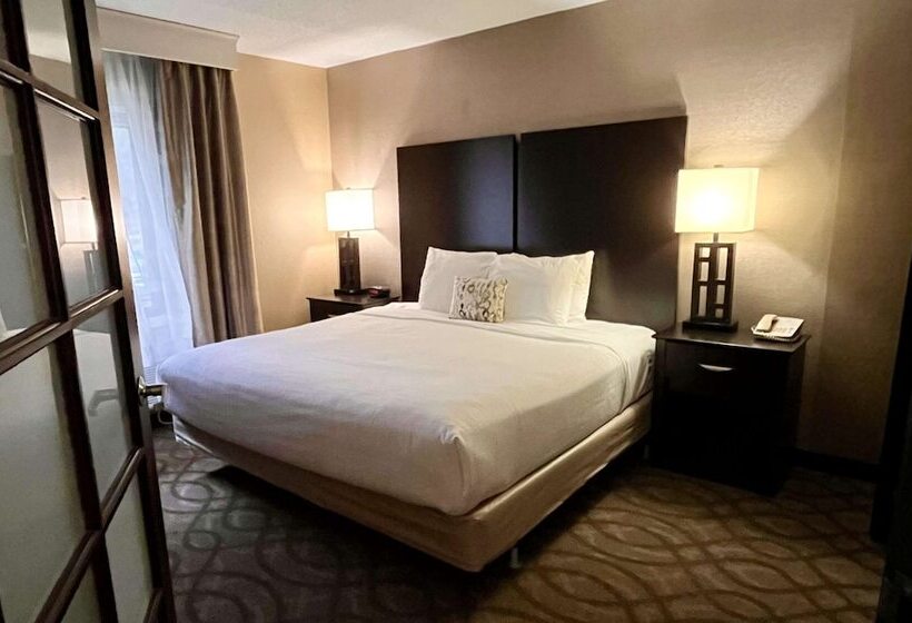 스위트, Best Western Okemos/east Lansing Hotel & Suites