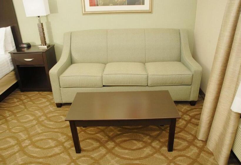 스탠다드 룸 킹사이즈 침대, Best Western Okemos/east Lansing Hotel & Suites