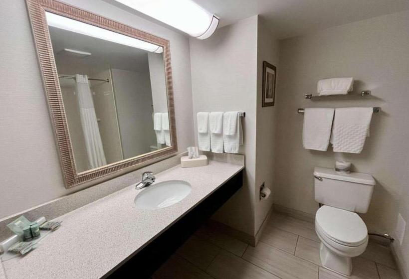 스탠다드 룸, Best Western Okemos/east Lansing Hotel & Suites