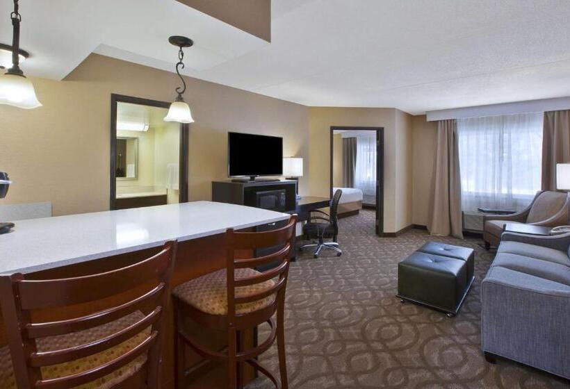 스위트 킹사이즈 침대, Best Western Okemos/east Lansing Hotel & Suites