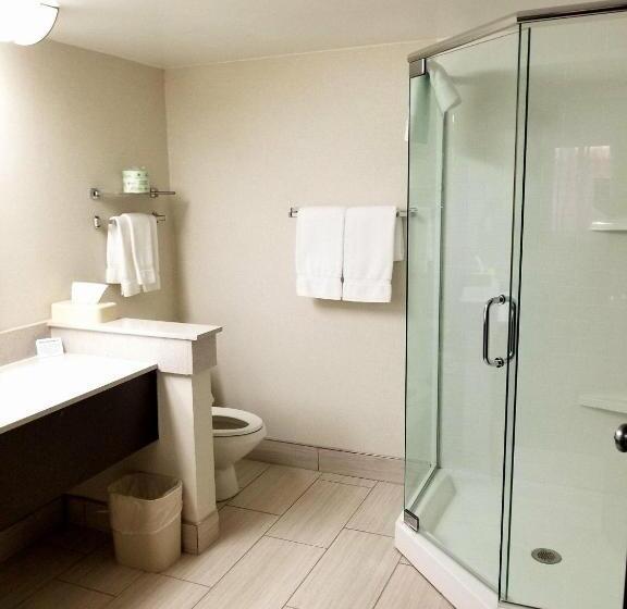 스위트 퀸침대, Best Western Okemos/east Lansing Hotel & Suites