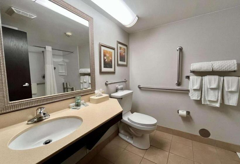 장애인을 위한 스탠다드 룸, Best Western Okemos/east Lansing Hotel & Suites