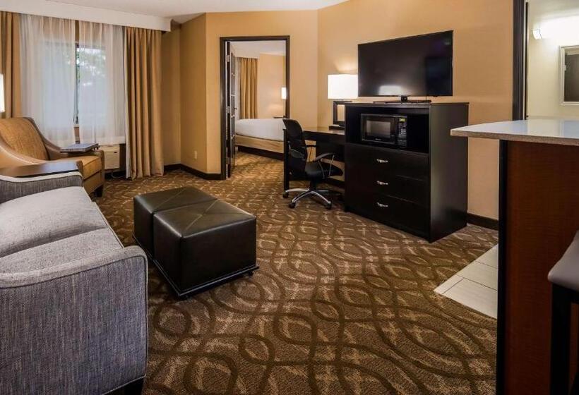 스위트, Best Western Okemos/east Lansing Hotel & Suites