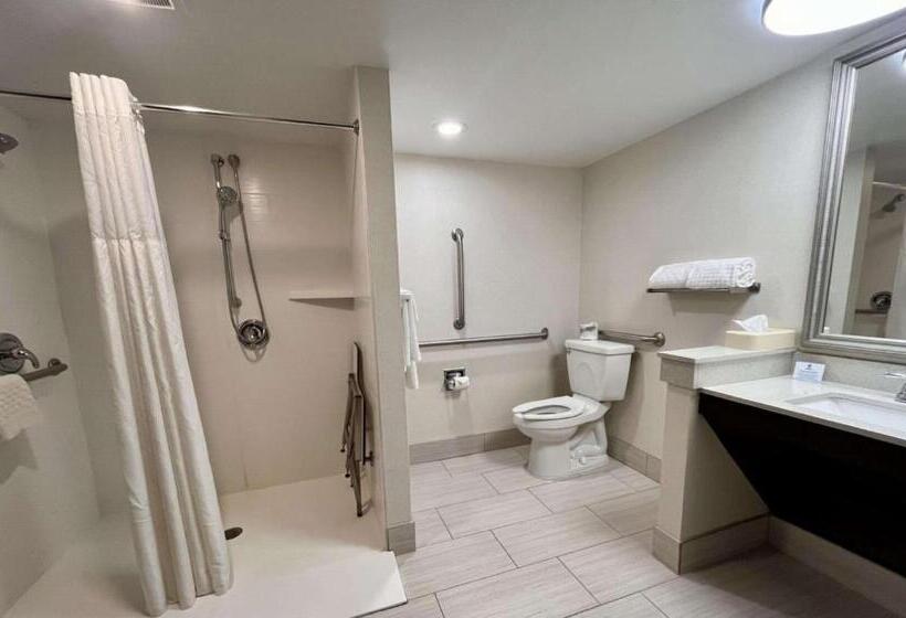 장애인을 위한 스위트, Best Western Okemos/east Lansing Hotel & Suites