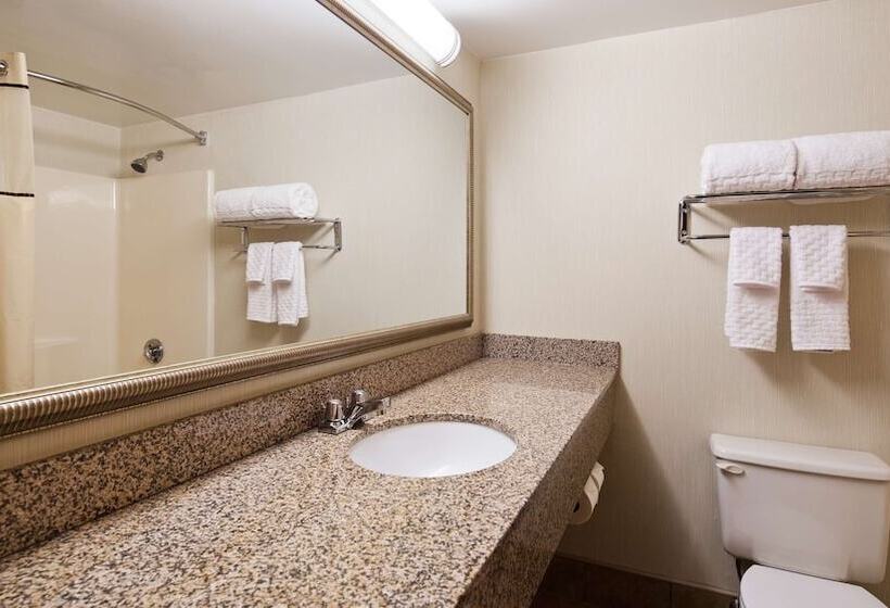 豪华房间, Best Western Royal Plaza Hotel And Trade Center