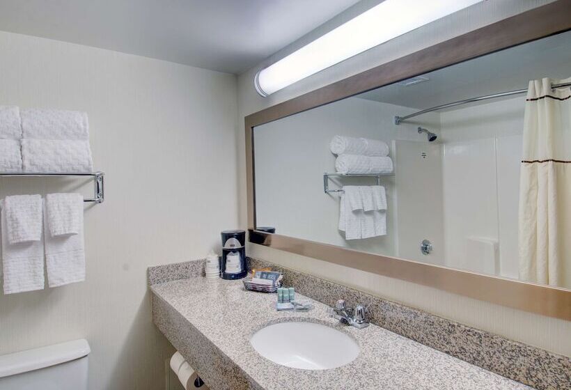 带2个双人床的标准工作室, Best Western Royal Plaza Hotel And Trade Center