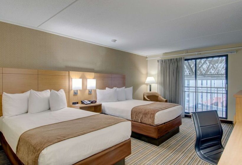 带2个双人床的标准工作室, Best Western Royal Plaza Hotel And Trade Center