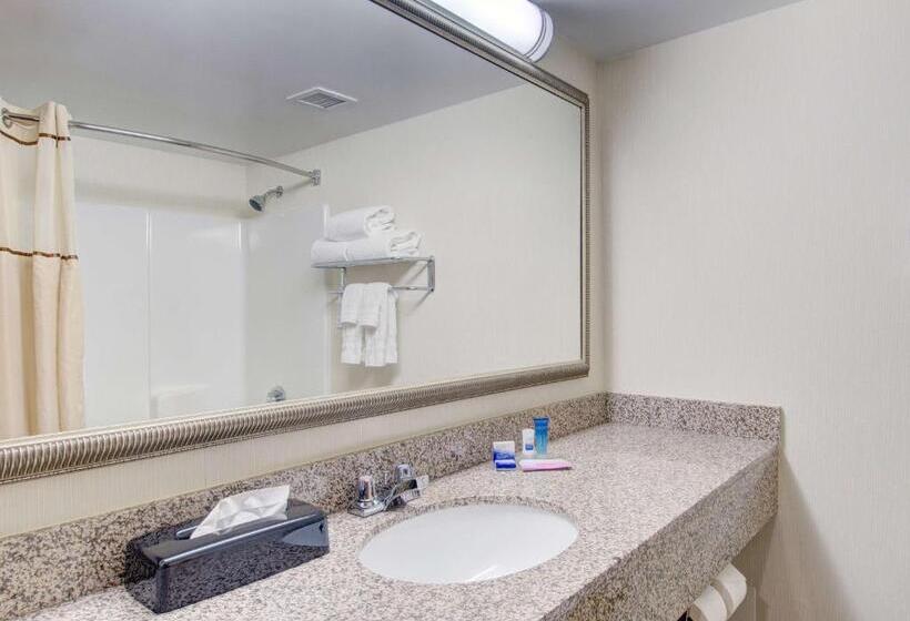 带1个卧室的公寓, Best Western Royal Plaza Hotel And Trade Center