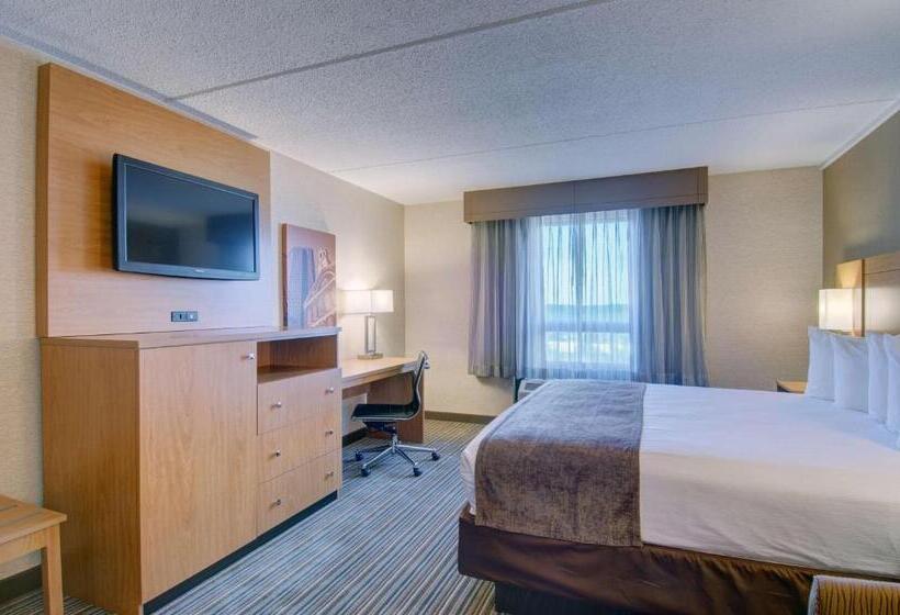 带大床的标准间, Best Western Royal Plaza Hotel And Trade Center