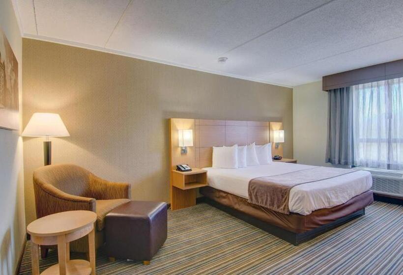 适合残疾人士使用的带超级大床的标准间, Best Western Royal Plaza Hotel And Trade Center