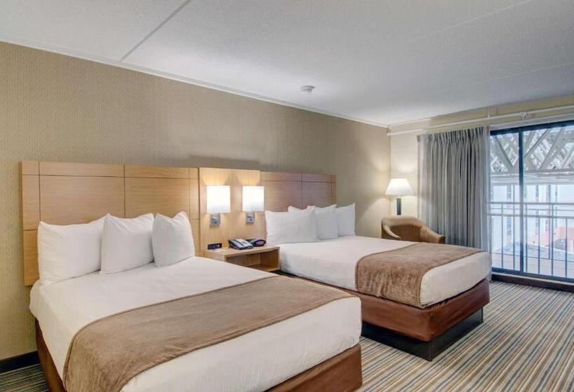 带2个双人床的标准工作室, Best Western Royal Plaza Hotel And Trade Center