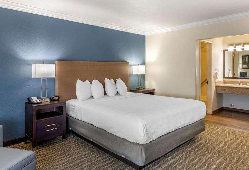 Номер Стандарт Кровать Кинг Адаптированный для Инвалидов, Best Western Town & Country Lodge