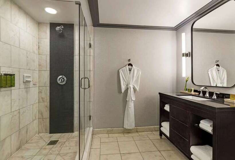 标准间, Hilton Checkers Los Angeles