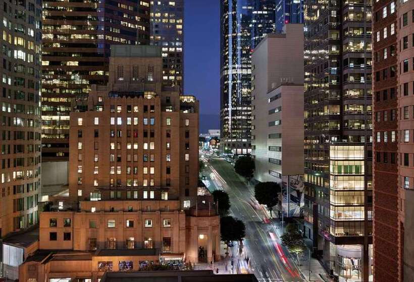 标准间, Hilton Checkers Los Angeles